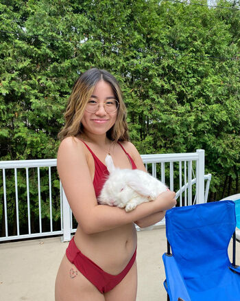 idcjessie