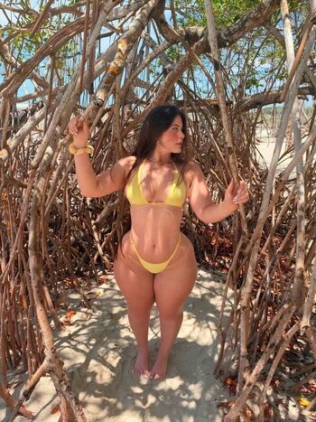 niic.ca