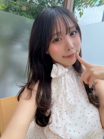 Towa Rabbit