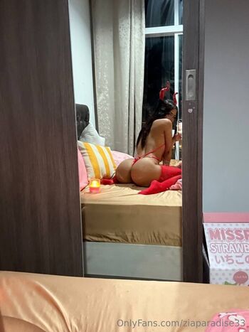 ziaparadise33